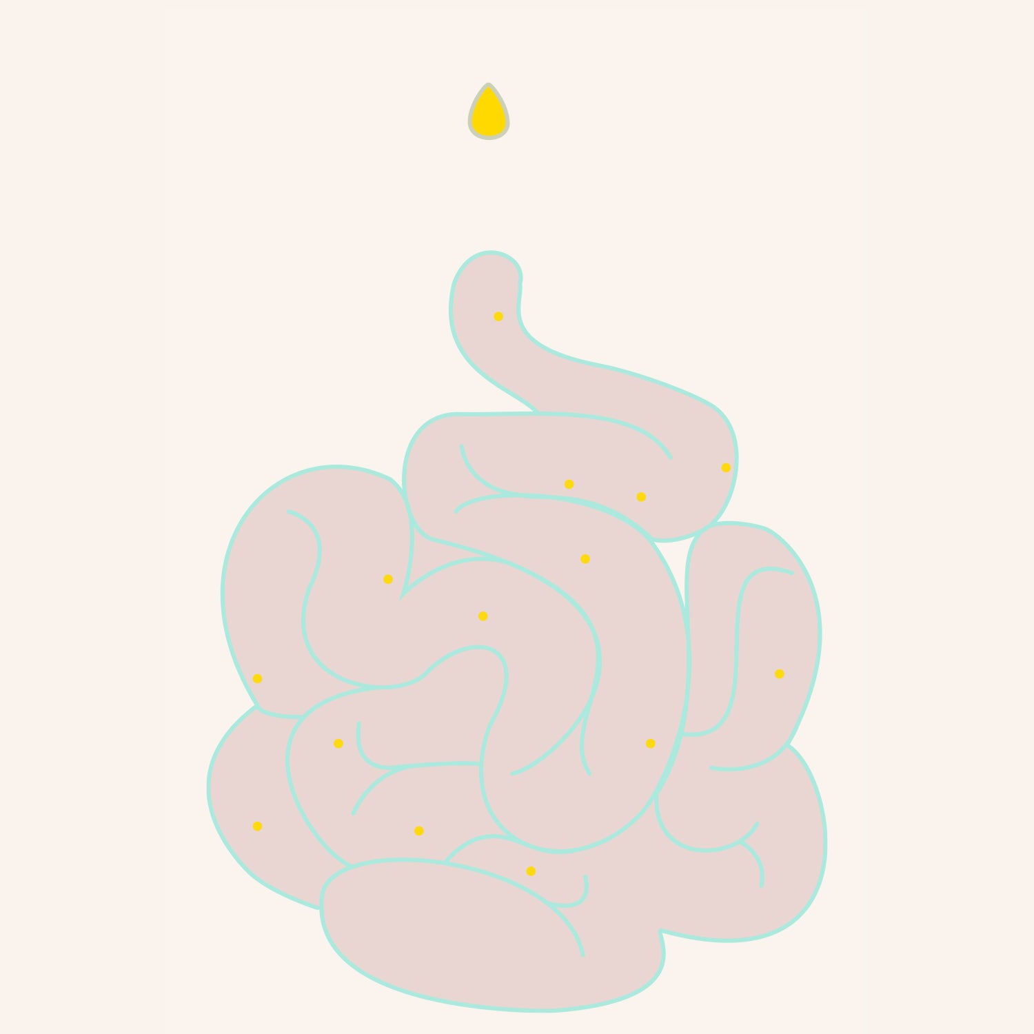 Bioavailability. <br>What's the Big Deal?