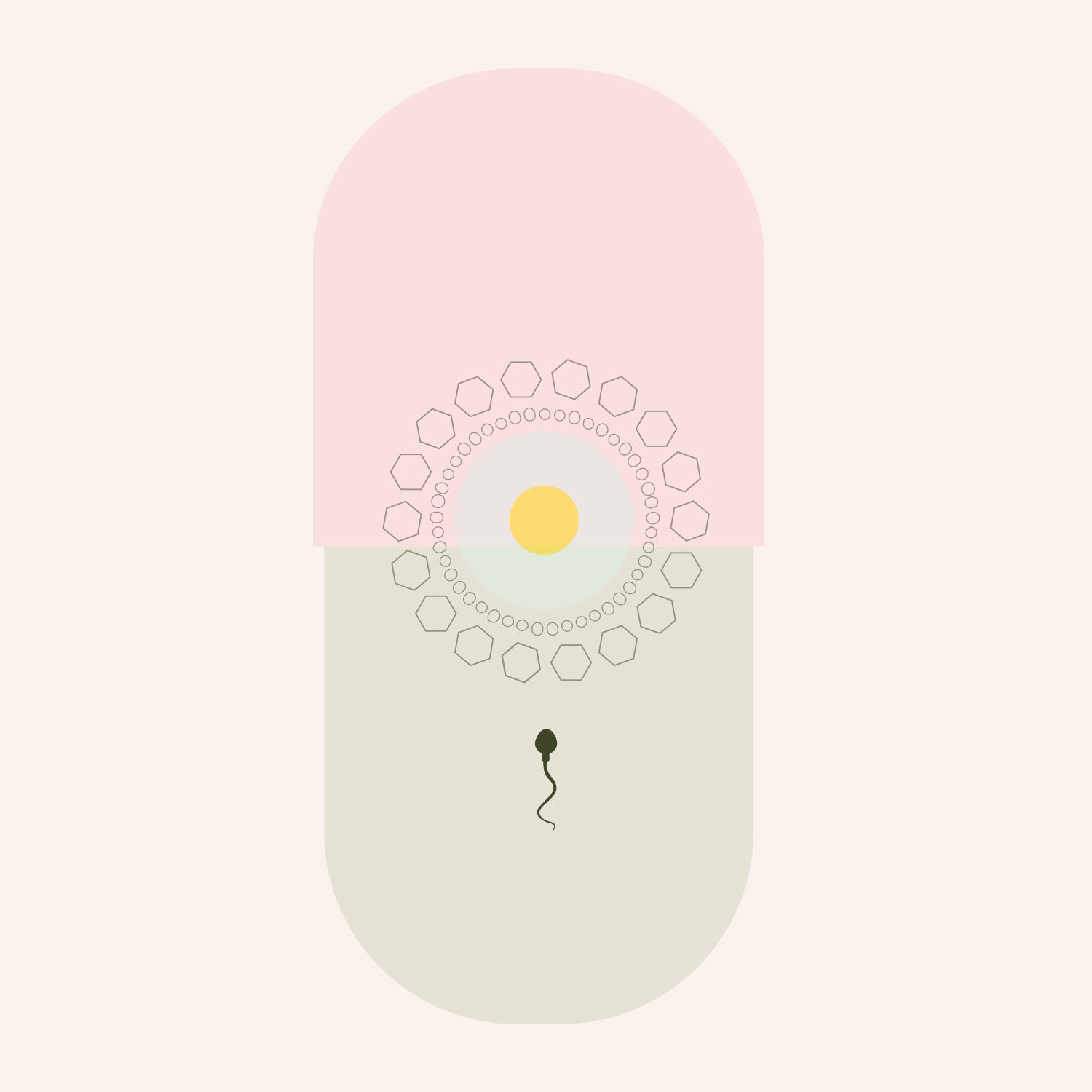 How to Be Fertility Supplement Savvy