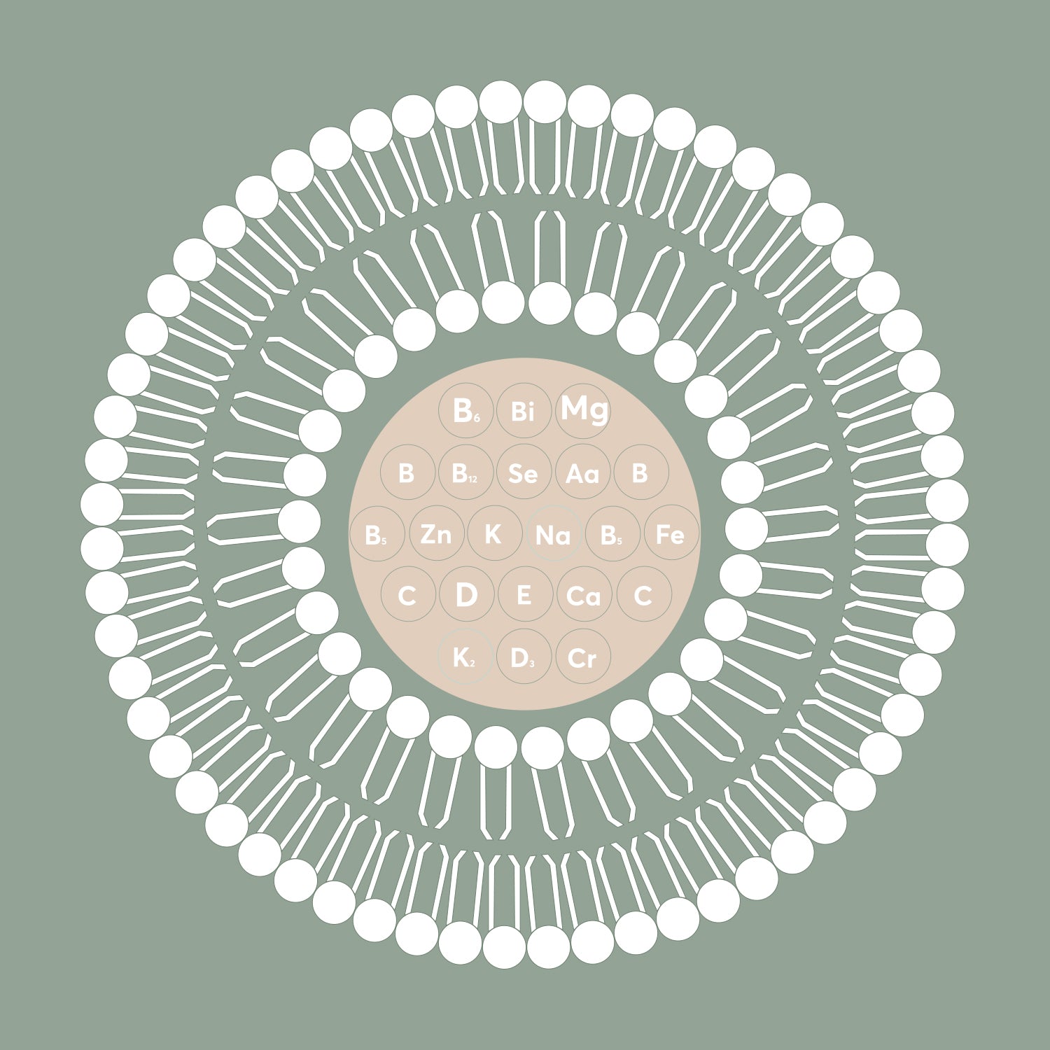 Liposomes: <br>The Powerhouse of Nanomedicine