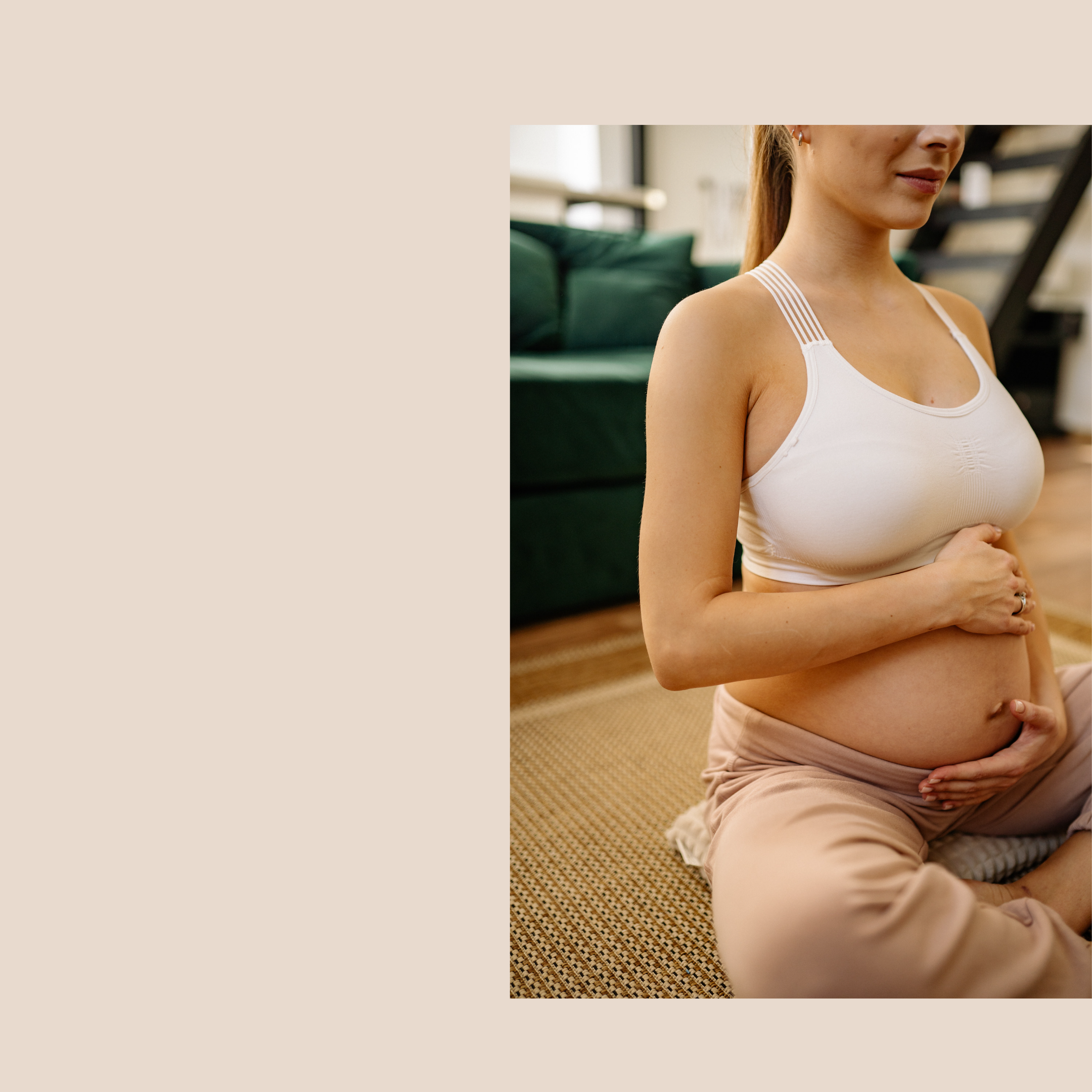 The Pregnancy Guide: Your First Trimester