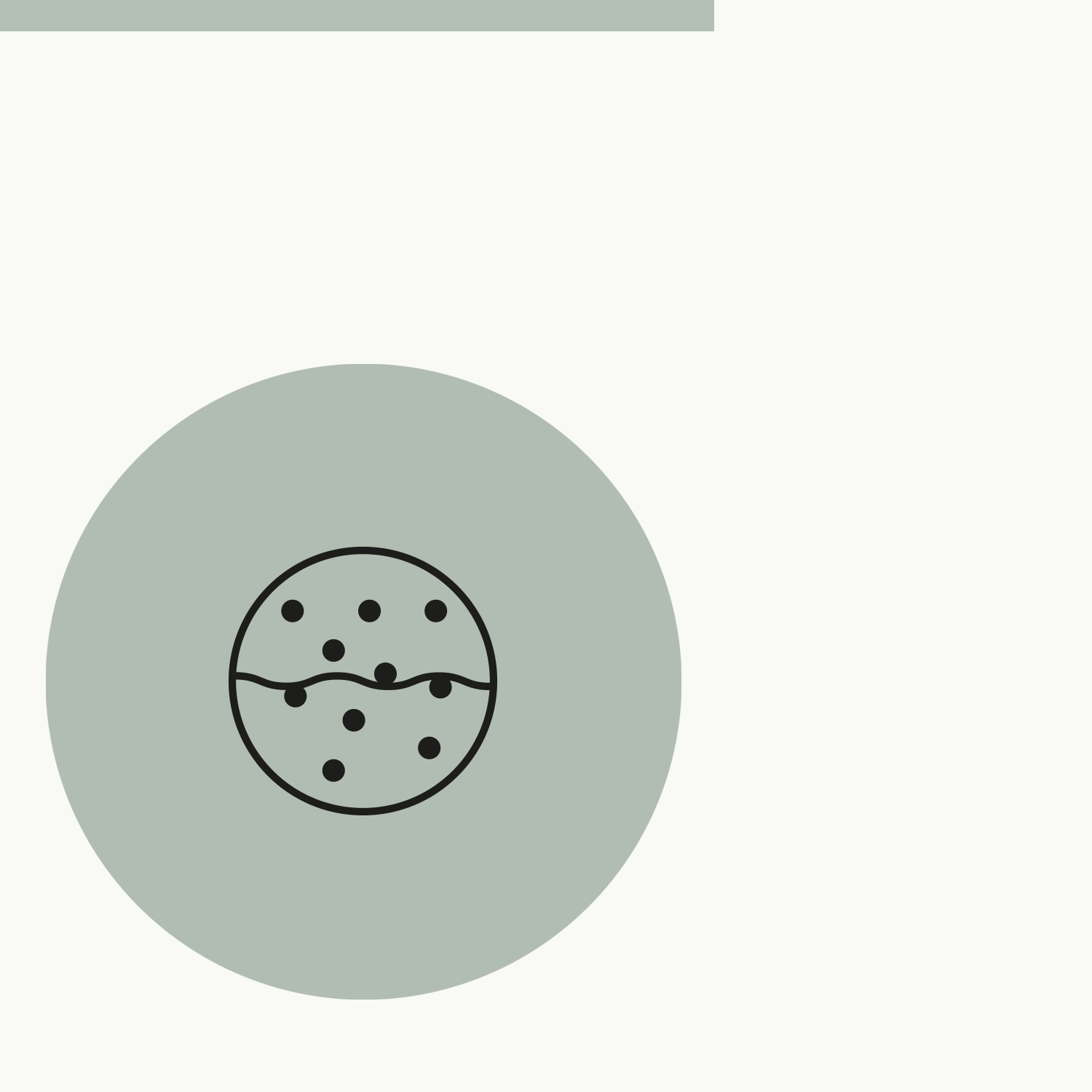 Superior Absorption With Liposomes