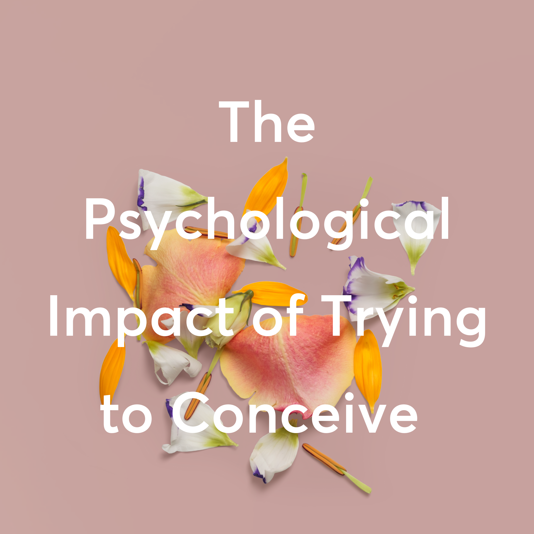 The Psychological Impact of Trying to Conceive (TTC): Understanding, Navigating, and Supporting Mental Health