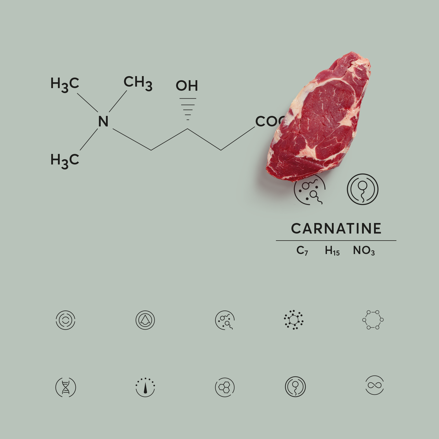 L-Carnitine is a Vital for Male Fertility