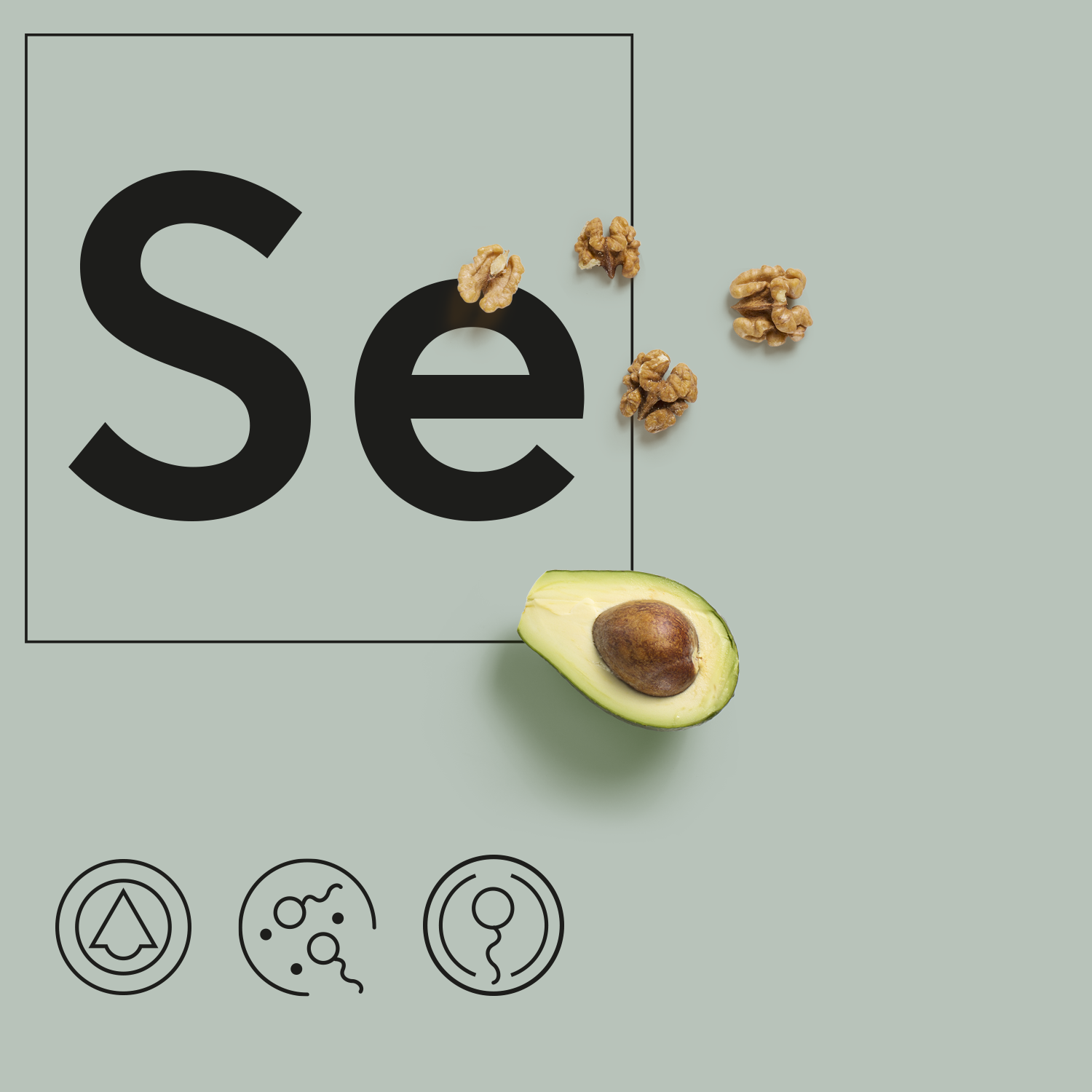 Selenium is Important For Protecting Sperm