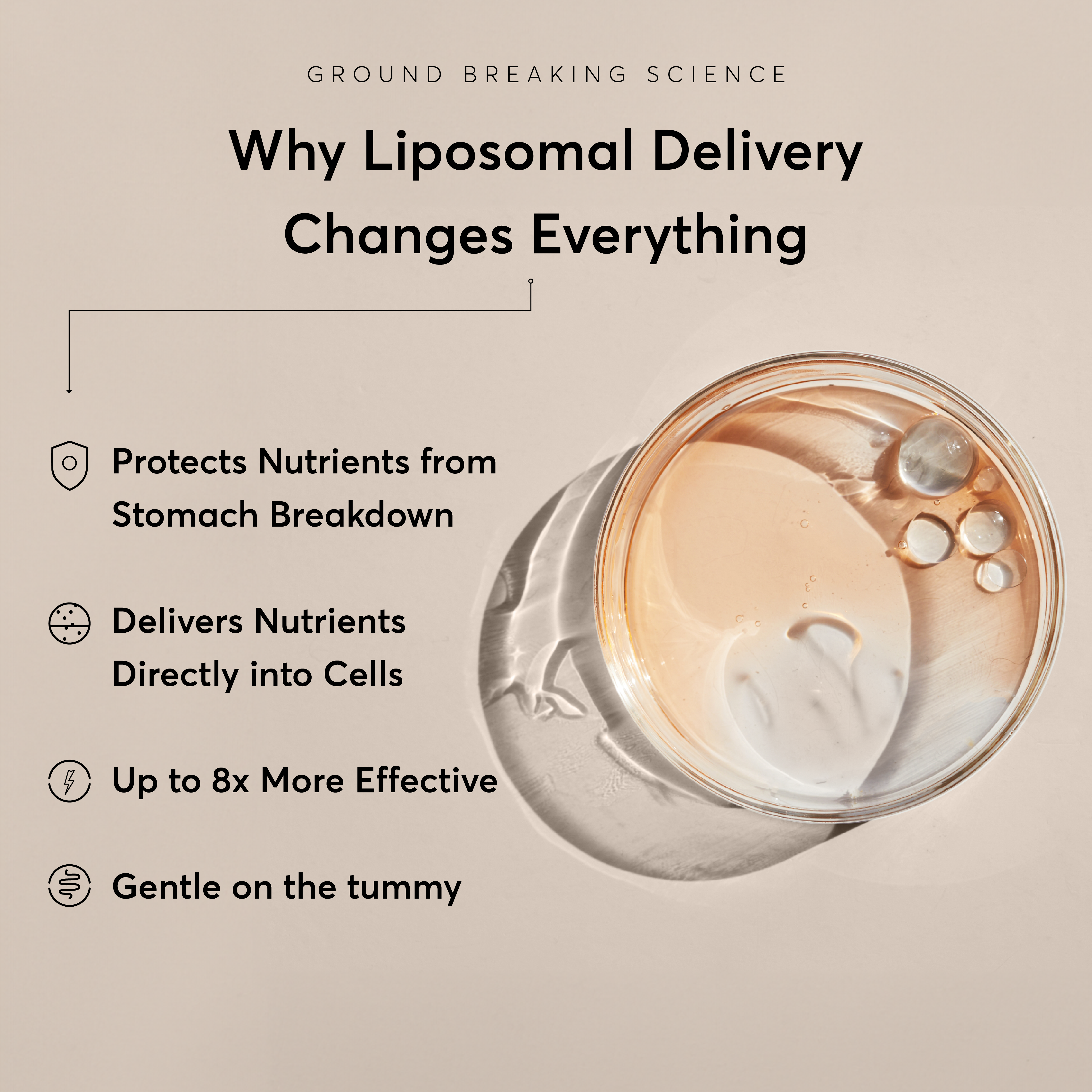 Women's Liposomal Fertility Formula Natre Women's Liposomal Fertility Formula Natre